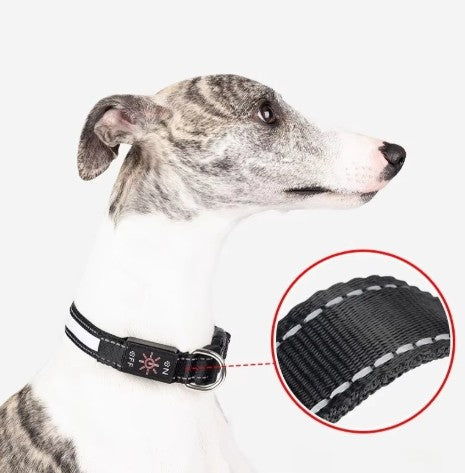Led Collar