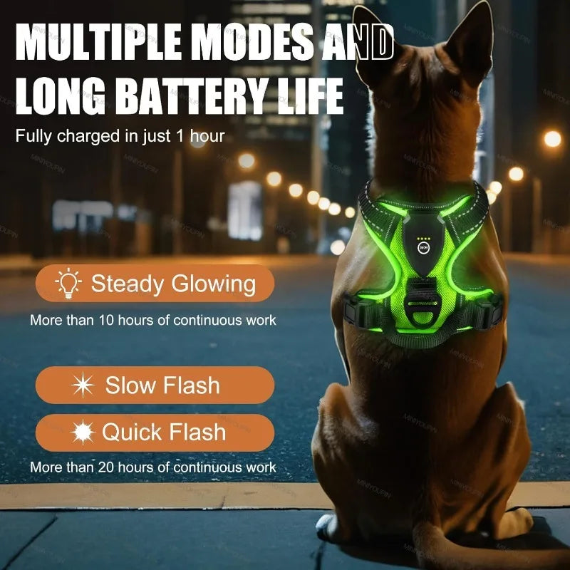 Led Harnesses