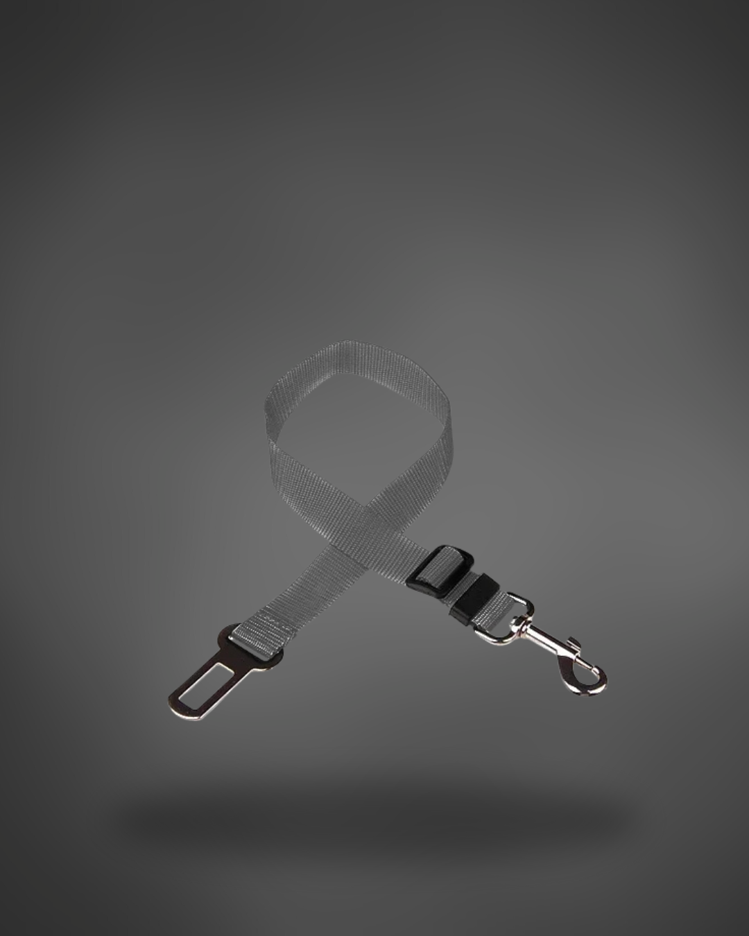 Pet car seat belt