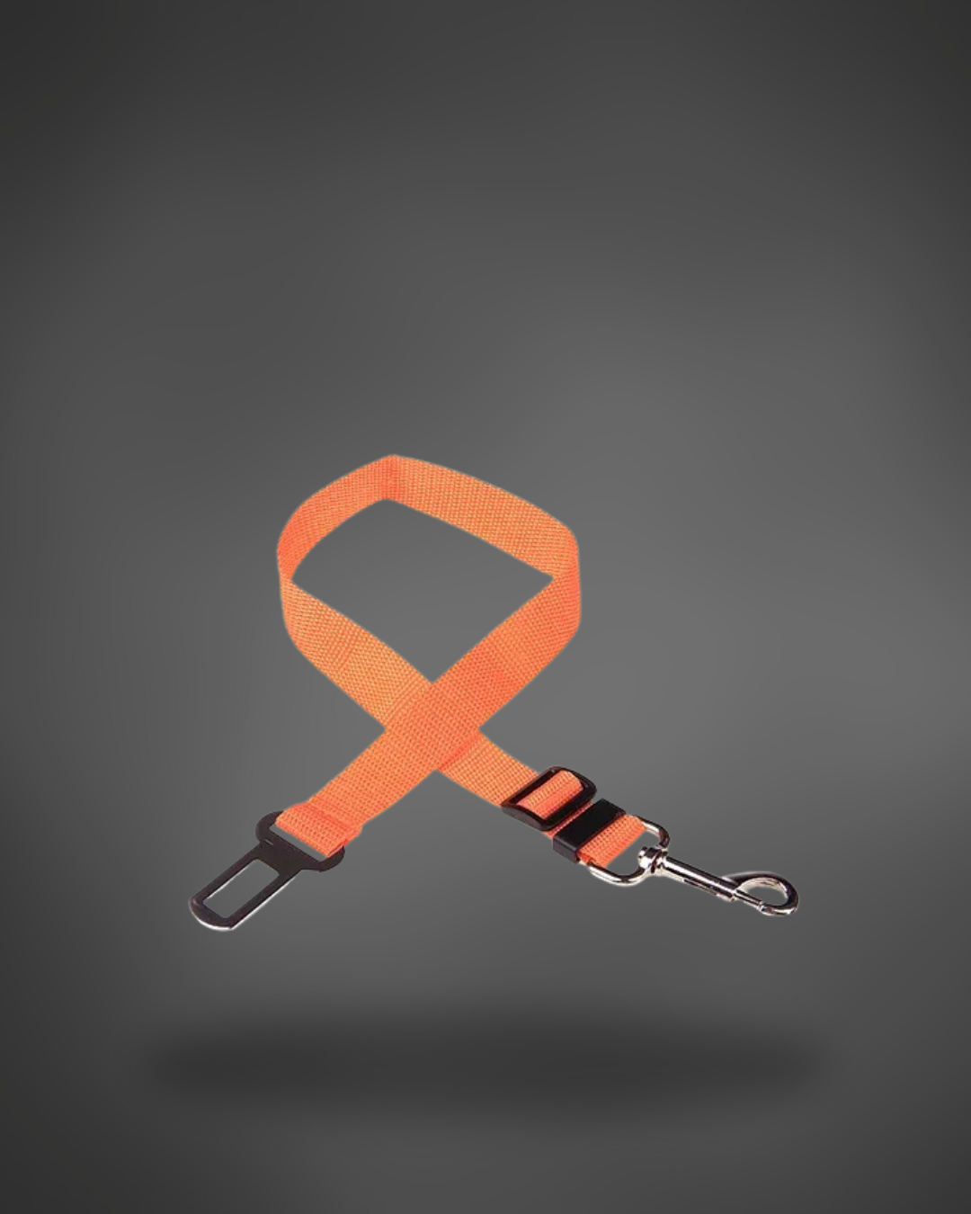 Pet car seat belt