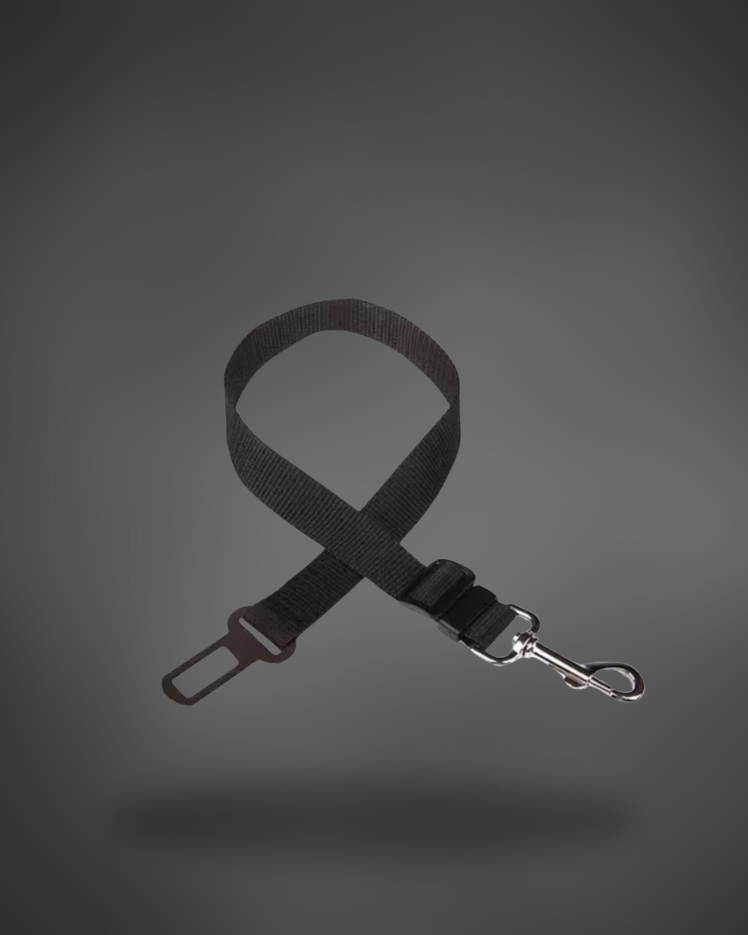 Pet car seat belt