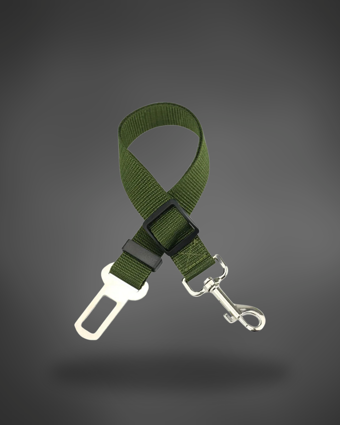 Pet car seat belt