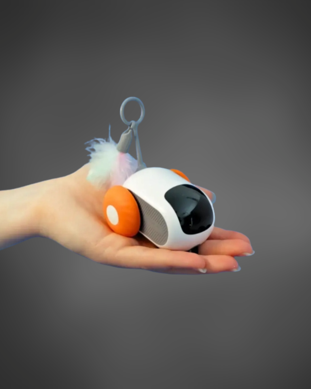 Smart pet toy